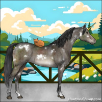 Horse Color:White Spotted Brown Dun Brindle