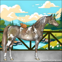 Horse Color:White Spotted Liver Red Dun Brindle 
