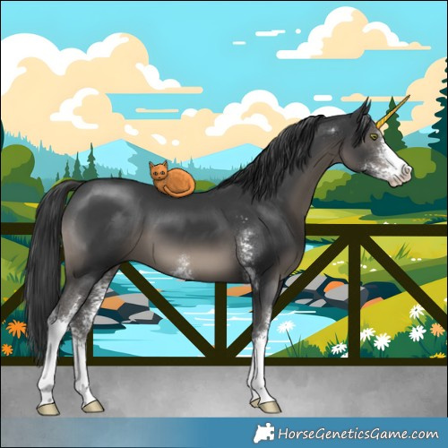 Horse Color:Black Mushroom Sabino