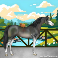 Horse Color:Black Mushroom Sabino