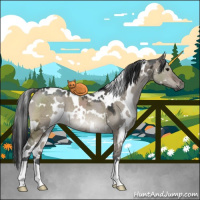 Horse Color:White Spotted Brown Ice Dun 