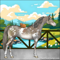 Horse Color:White Spotted Liver Red Dun Mushroom Sabino Brindle 
