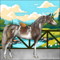 Horse Color:White Spotted Silver Brown 