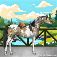 Horse Color:Gray White Spotted Liver Red Dun Tobiano Brindle 