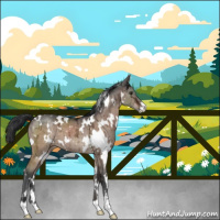 Horse Color:White Spotted Brown Ice Dun Sabino Brindle 