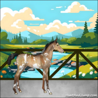 Horse Color:Gray White Spotted Sable Champagne Dun Brindle 