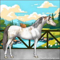 Horse Color:Gray White Spotted Brown Pearl Dun Tobiano Brindle 