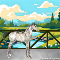 Horse Color:White Spotted Sable Champagne Dun Brindle 