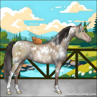 Horse Color:White Spotted Sable Champagne Dun Brindle 