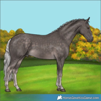 Horse Color:Platinum Chocolate Palomino 