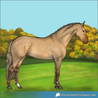 Horse Color:Chocolate Palomino Dun 