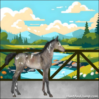 Horse Color:White Spotted Brown Ice Dun Mushroom Brindle 