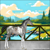 Horse Color:Gray Platinum White Spotted Brown Ice Dun Tobiano Brindle 