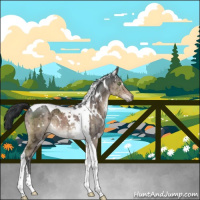 Horse Color:White Spotted Brown Ice Dun Tobiano Brindle 