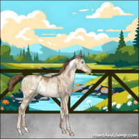 Horse Color:White Spotted Liver Red Dun Pearl Brindle
