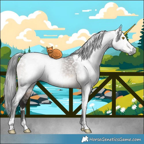 Horse Color:Gray White Spotted Brown Dun Mushroom Brindle