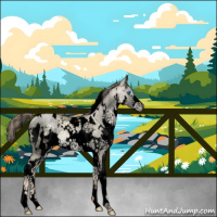Horse Color:Void White Spotted Liver Red Dun Pearl Sabino Splash Brindle 