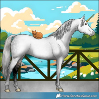 Horse Color:Gray Void White Spotted Silver Brown Dun Tobiano 