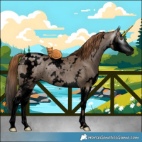 Horse Color:Gray Void White Spotted Liver Red Dun Sabino Splash Brindle 
