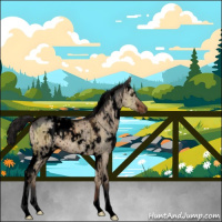 Horse Color:Void White Spotted Liver Red Dun Brindle 