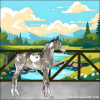 Horse Color:White Spotted Liver Red Dun Sabino Brindle 