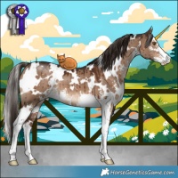 Horse Color:White Spotted Liver Red Dun Sabino Brindle 