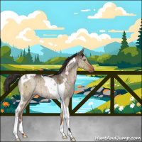Horse Color:Liver Red Dun Roan Tobiano Rabicano Brindle 