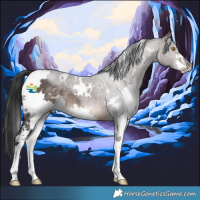 Horse Color:White Spotted Brown Dun Mushroom Sabino 