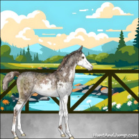 Horse Color:Liver Red Dun Ice Sabino Splash Brindle 