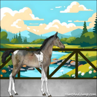 Horse Color:Gray Brown Ice Dun Tobiano Brindle 