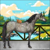 Horse Color:White Spotted Smoky Grullo Ice Roan Mushroom Brindle 