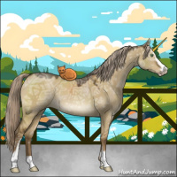 Horse Color:Chocolate Palomino Ice Dun Sabino