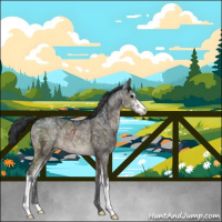 Horse Color:Brown Ice Dun Mushroom Sabino Brindle 