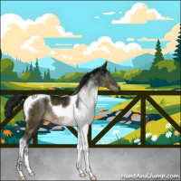 Horse Color:Gray Brown Dun Sabino Tobiano Brindle 