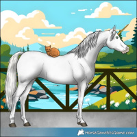 Horse Color:White Spotted Liver Red Dun Ice Mushroom Sabino Appaloosa Rabicano Brindle 