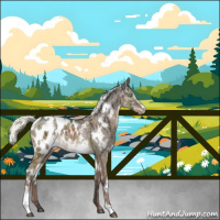 Horse Color:White Spotted Liver Red Dun Ice Mushroom Sabino Appaloosa Rabicano Brindle 