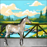 Horse Color:White Spotted Brown Dun Brindle 