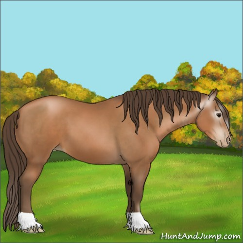 Horse Color:Gray Black Pearl 