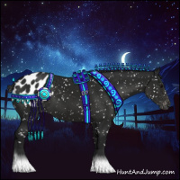 Horse Color:Gray Black Appaloosa