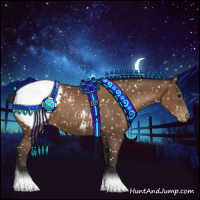 Horse Color:Gray Black Pearl Appaloosa 