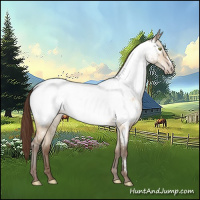 Horse Color:Sable Champagne Dun Near Fewspot 