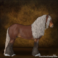 Horse Color:Gray Silver Buckskin Rabicano 