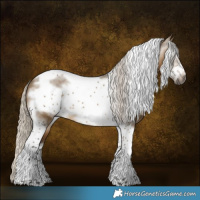 Horse Color:Gray White Spotted Silver Buckskin Dun Tobiano Frame Varnish 