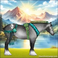 Horse Color:Gray Black Appaloosa 