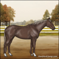 Horse Color:Liver Red Roan 