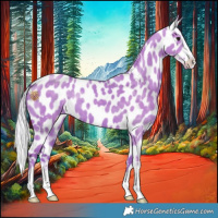 Horse Color:Watercolor Silver Smoky Grullo Near Leopard 