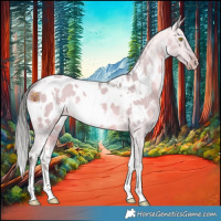 Horse Color:Watercolor White Spotted Sable Champagne Dun Appaloosa