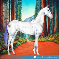 Horse Color:Watercolor White Spotted Black Ice Leopard