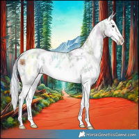 Horse Color:Watercolor Silver Bay Ice Dun Sabino Splash Appaloosa 