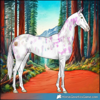 Horse Color:Watercolor Chocolate Palomino Ice Mushroom Splash Appaloosa 